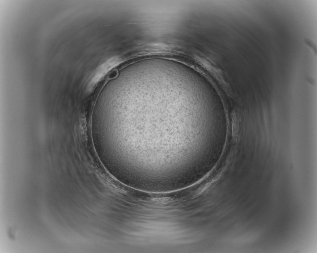 X0000101191453200807071303
