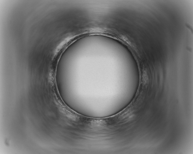 X0000101191454200807071303