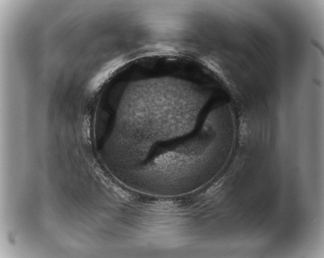 X0000101191455200807071303