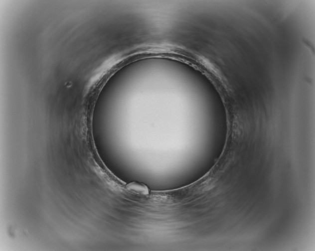 X0000101191456200807071303