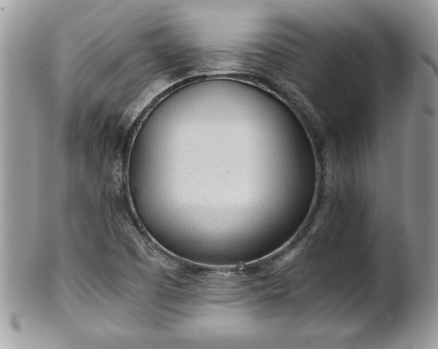 X0000101191457200807071303