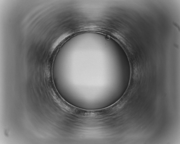 X0000101191458200807071303