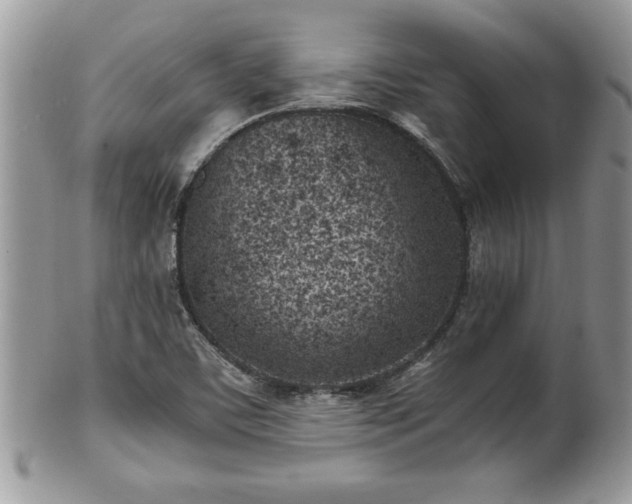 X0000101191459200807071303