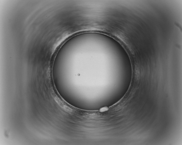 X0000101191460200807071303