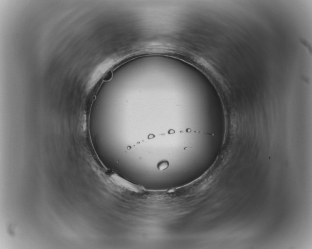 X0000101191461200807071303