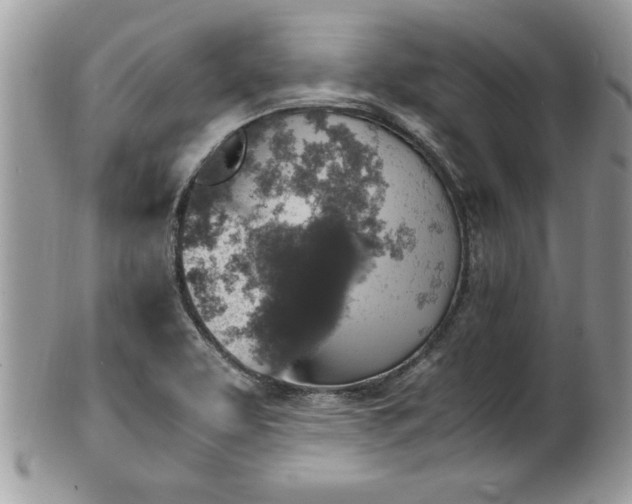 X0000101191463200807071303
