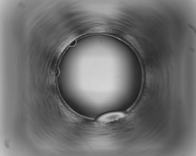 X0000101191465200807071303