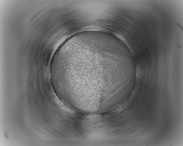 X0000101191466200807071303