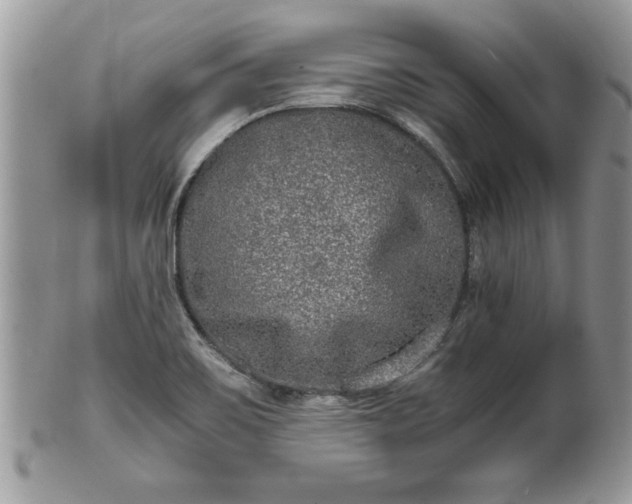 X0000101191467200807071303