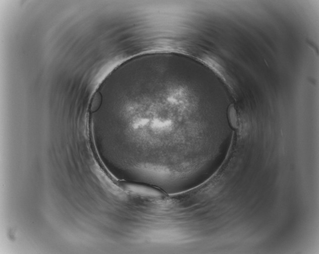X0000101191468200807071303