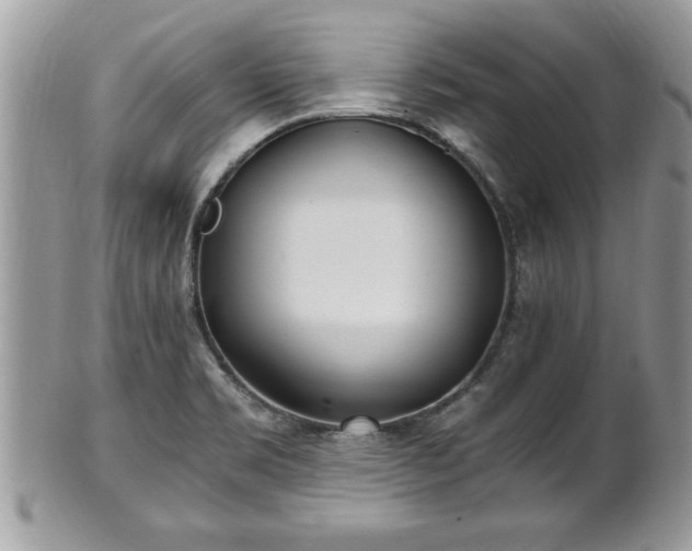 X0000101191469200807071302