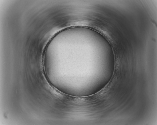 X0000101191470200807071302