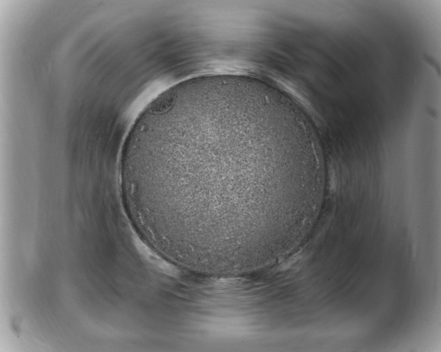 X0000101191471200807071302
