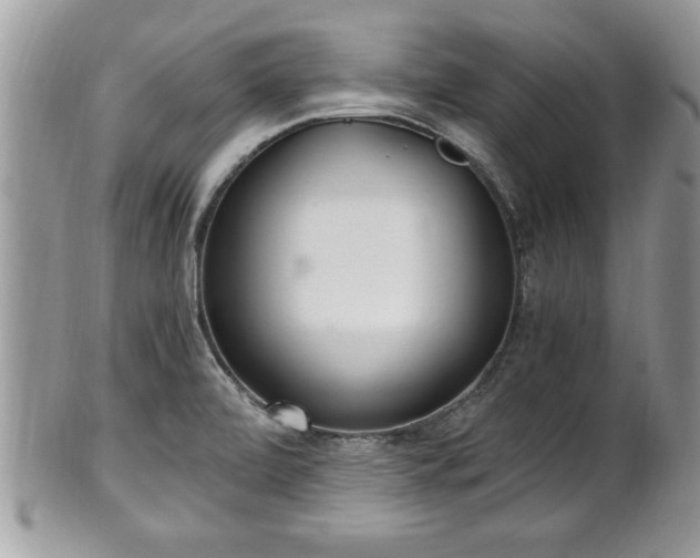 X0000101191472200807071302