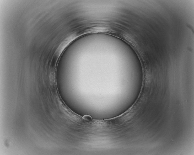 X0000101191473200807071302