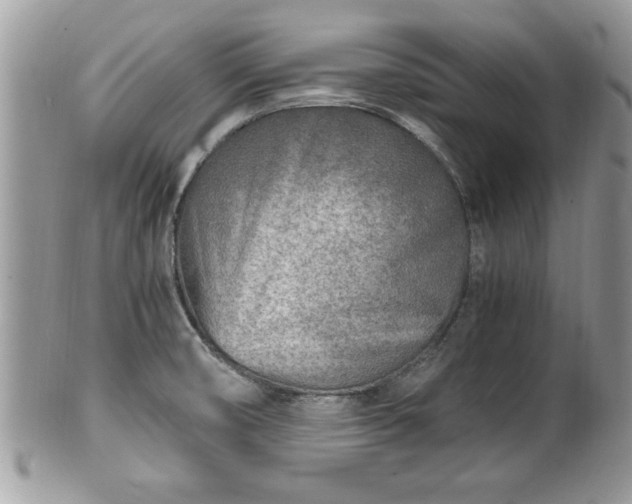 X0000101191474200807071302