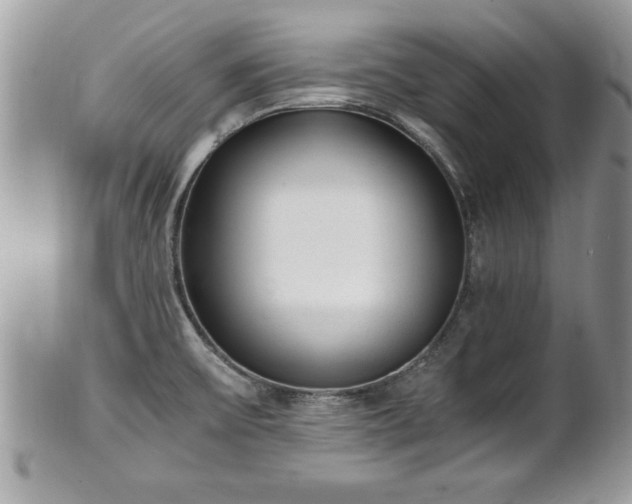 X0000101191475200807071302