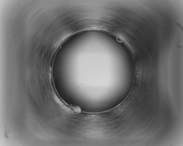 X0000101191476200807071302