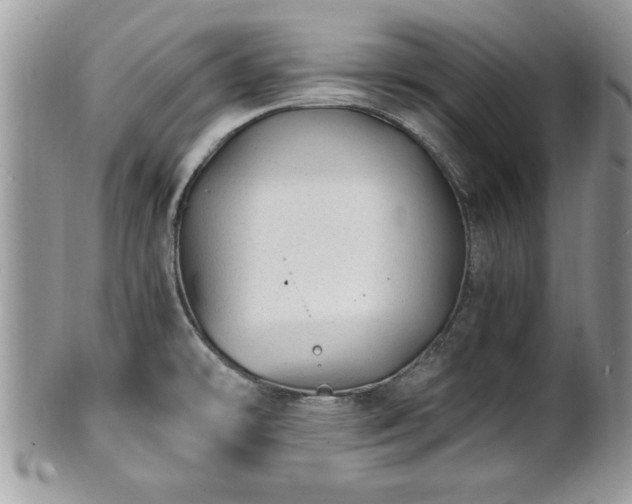 X0000101191478200807071302