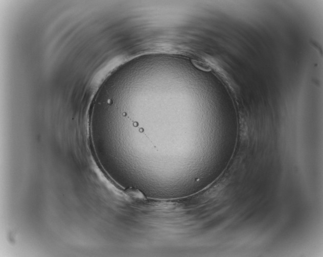 X0000101191479200807071302