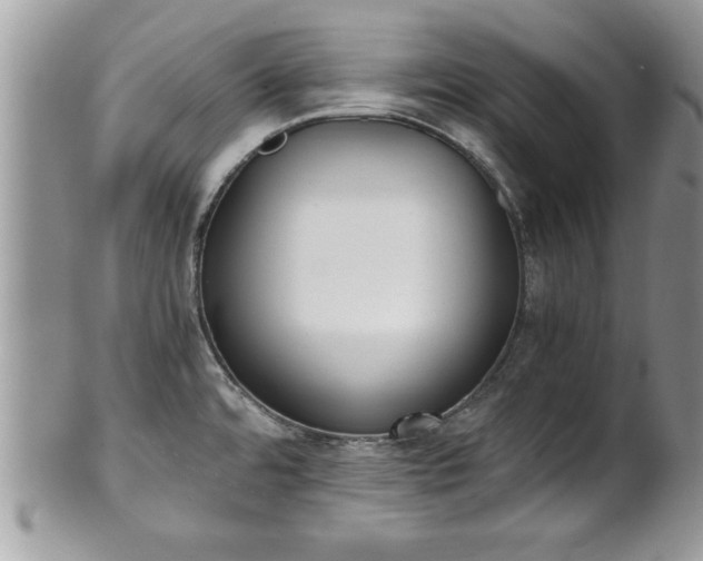X0000101191480200807071302