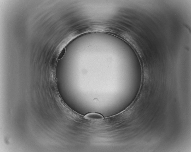X0000101191481200807071302