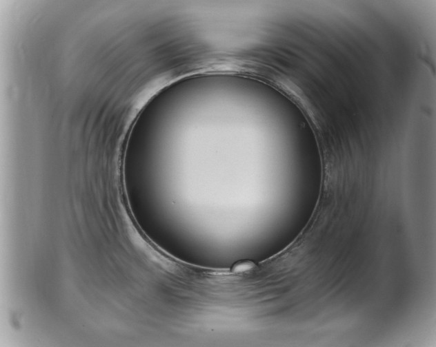X0000101191483200807071302