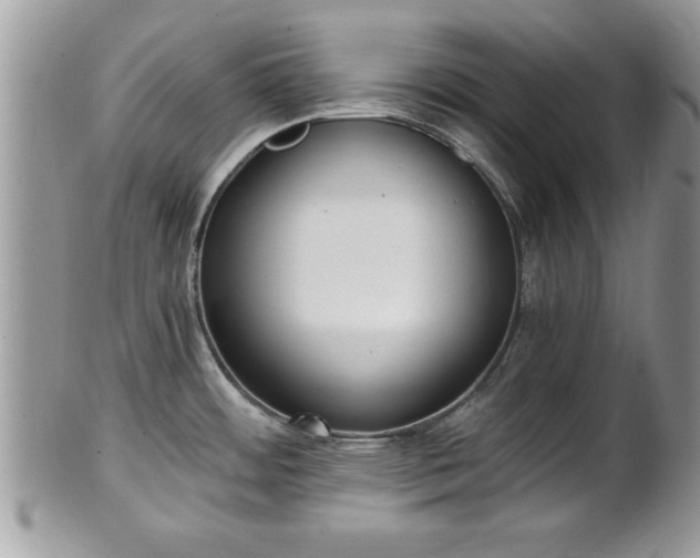 X0000101191484200807071302