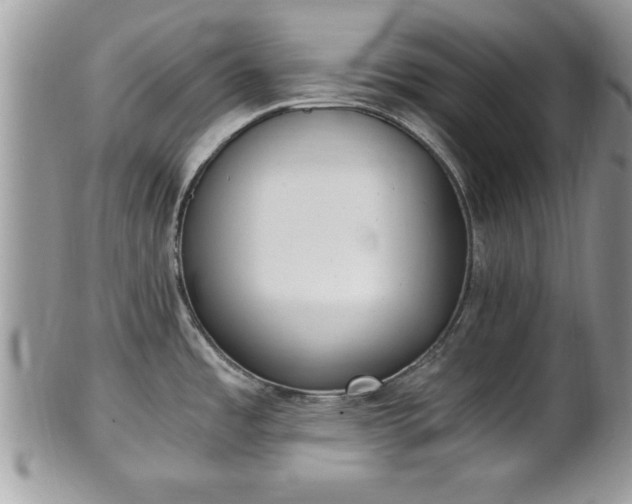 X0000101191485200807071302