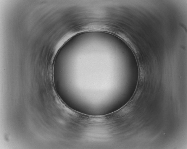 X0000101191486200807071302