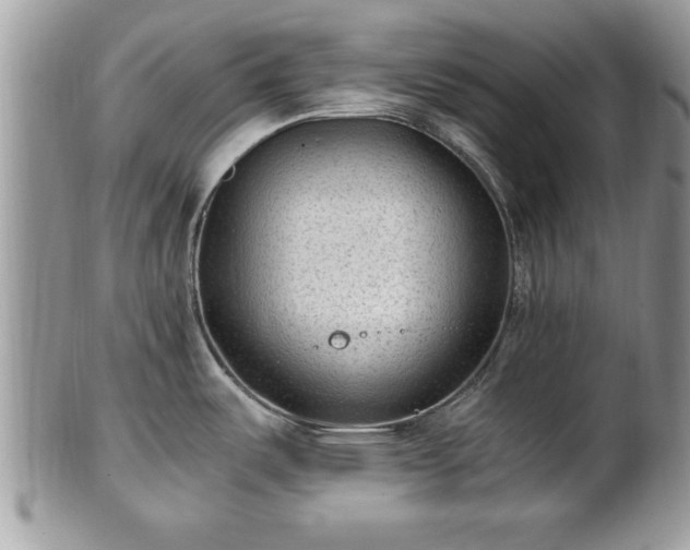 X0000101191487200807071302