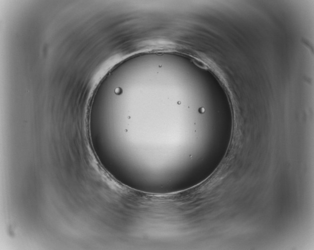 X0000101191488200807071302