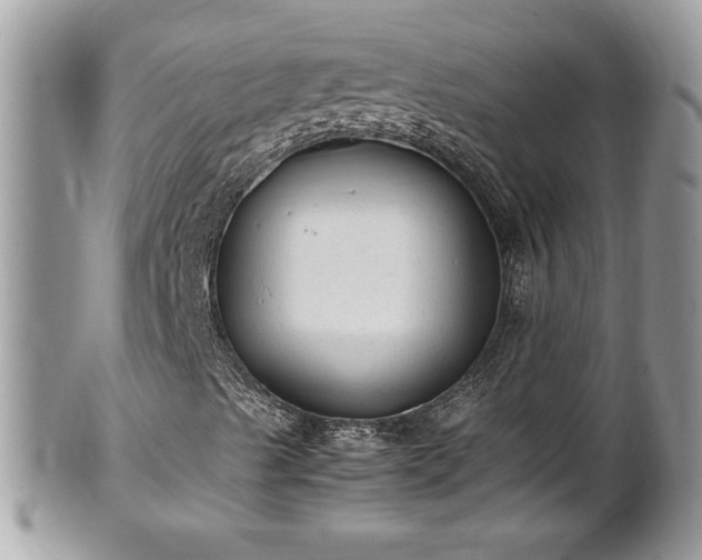 X0000101191489200807071301