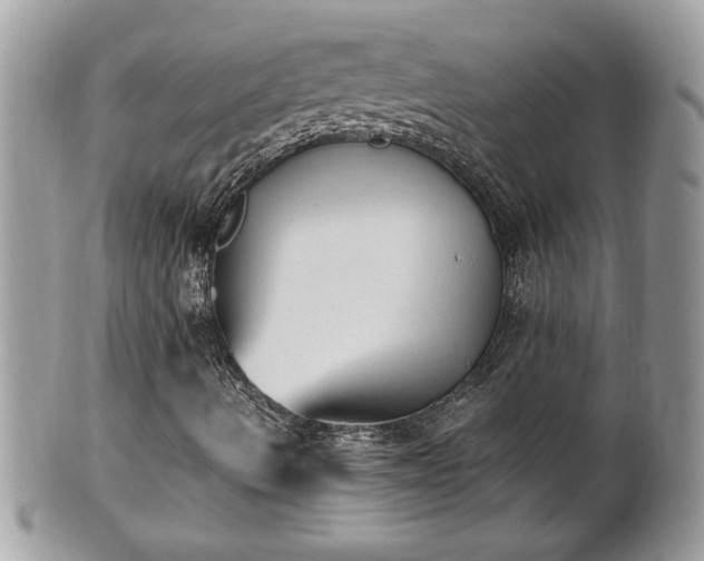 X0000101191490200807071301