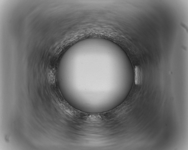 X0000101191491200807071301