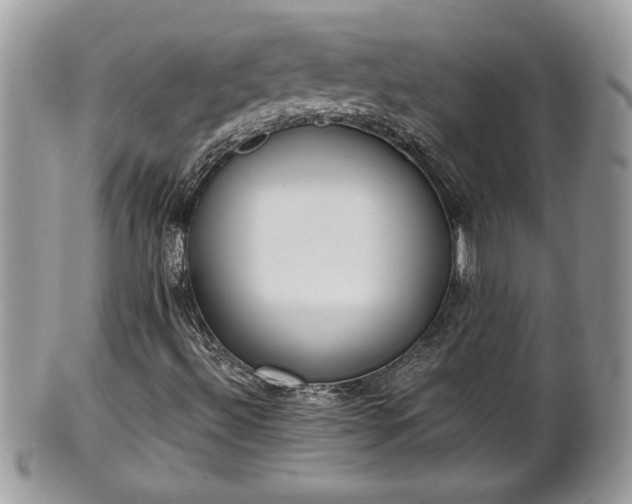 X0000101191492200807071301