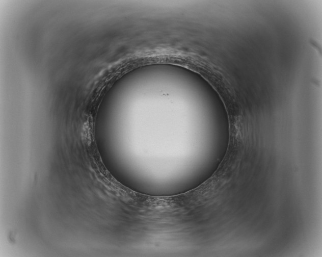 X0000101191493200807071301