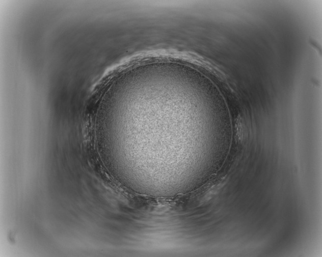 X0000101191494200807071301