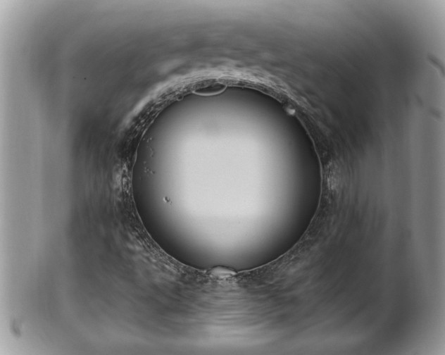 X0000101191495200807071301