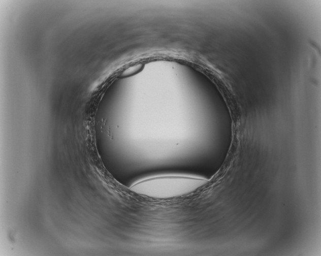 X0000101191496200807071301