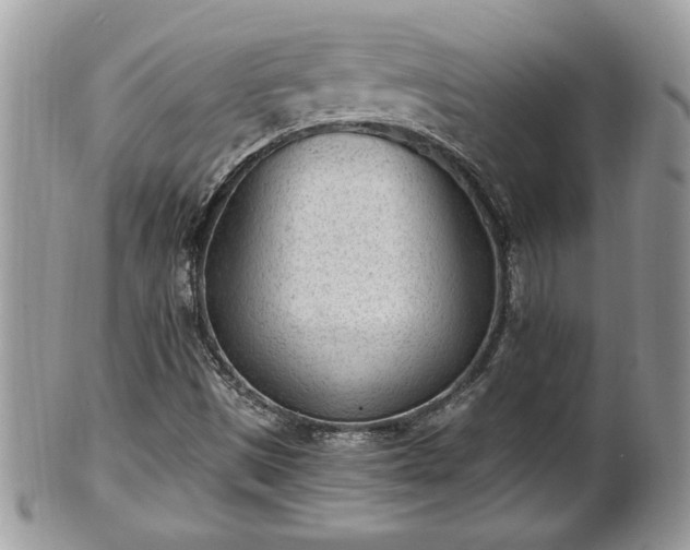 X0000101191497200807071301