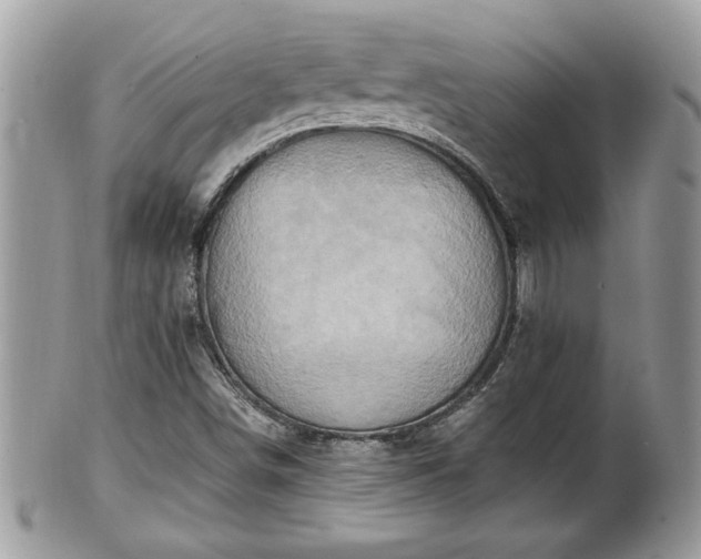 X0000101191498200807071301