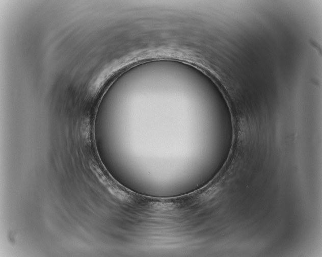 X0000101191499200807071302