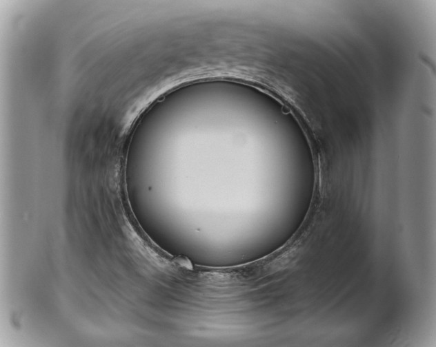 X0000101191500200807071302