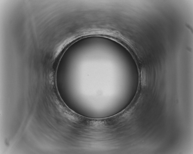 X0000101191501200807071302