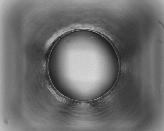 X0000101191503200807071302