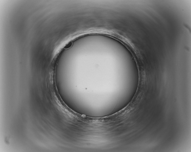 X0000101191504200807071302