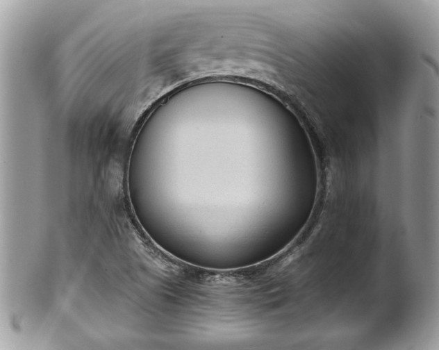 X0000101191505200807071302