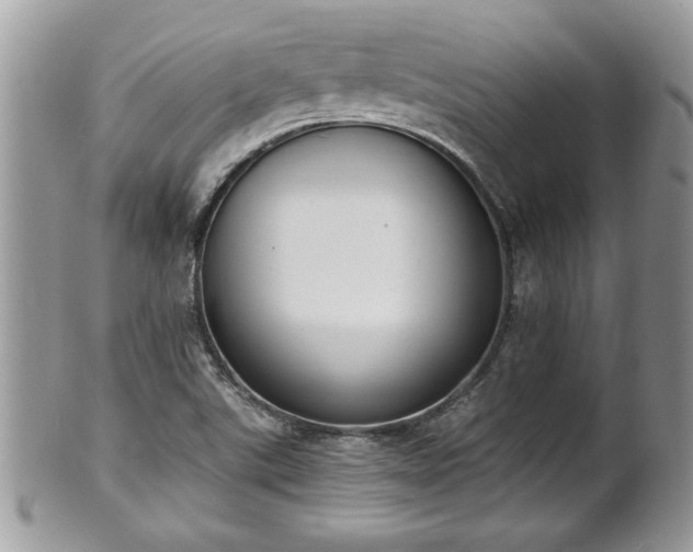 X0000101191507200807071302