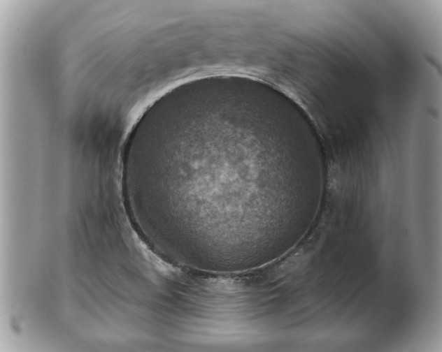 X0000101191508200807071302